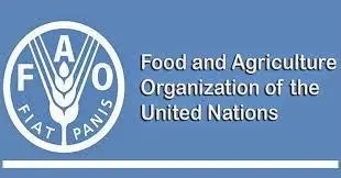 FAO United Nations